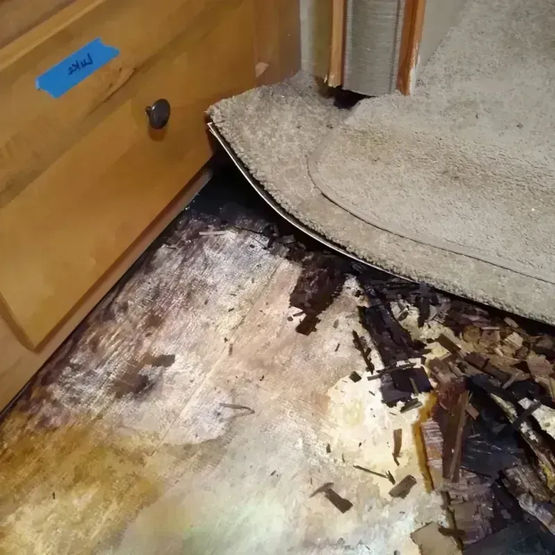 Wood Floor Water Damage in Summerville, SC